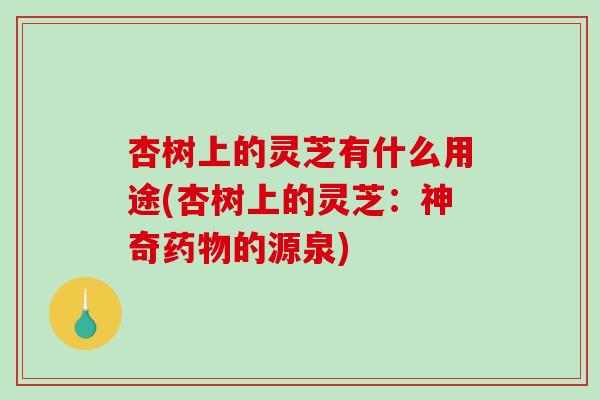 杏树上的灵芝有什么用途(杏树上的灵芝：神奇药物的源泉)