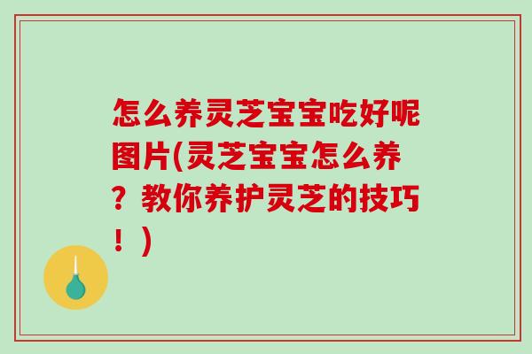 怎么养灵芝宝宝吃好呢图片(灵芝宝宝怎么养？教你养护灵芝的技巧！)