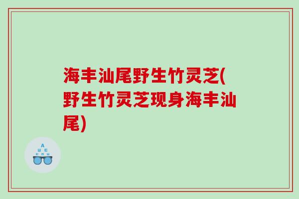 海丰汕尾野生竹灵芝(野生竹灵芝现身海丰汕尾)