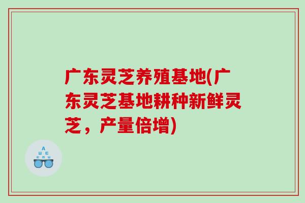 广东灵芝养殖基地(广东灵芝基地耕种新鲜灵芝，产量倍增)