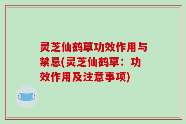 灵芝仙鹤草功效作用与禁忌(灵芝仙鹤草:功效作用及注意事项) 灵芝仙鹤草功效作用与禁忌(灵芝仙鹤草:功效作用及注意事项)