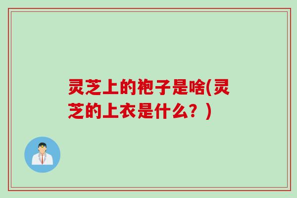 灵芝上的袍子是啥(灵芝的上衣是什么？)