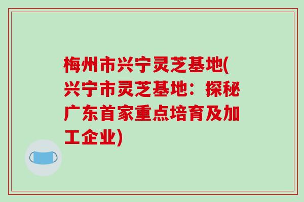 梅州市兴宁灵芝基地(兴宁市灵芝基地：探秘广东首家重点培育及加工企业)
