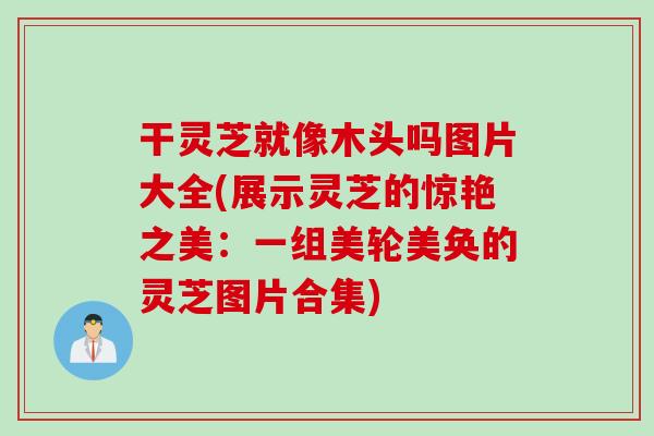 干灵芝就像木头吗图片大全(展示灵芝的惊艳之美：一组美轮美奂的灵芝图片合集)