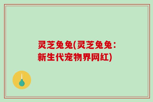 灵芝兔兔(灵芝兔兔：新生代宠物界网红)
