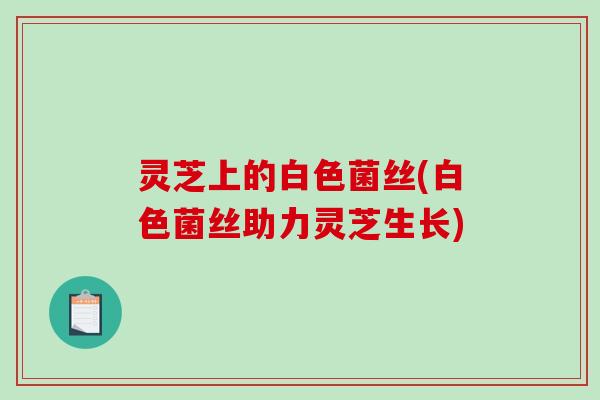 灵芝上的白色菌丝(白色菌丝助力灵芝生长)