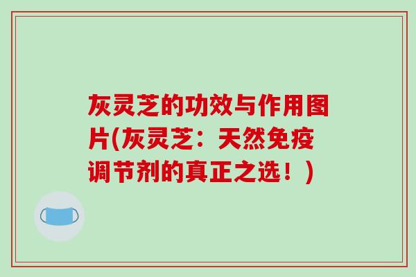 灰灵芝的功效与作用图片(灰灵芝：天然免疫调节剂的真正之选！)