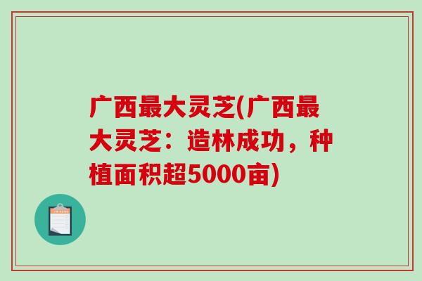广西最大灵芝(广西最大灵芝：造林成功，种植面积超5000亩)