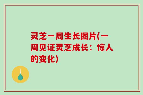 灵芝一周生长图片(一周见证灵芝成长：惊人的变化)