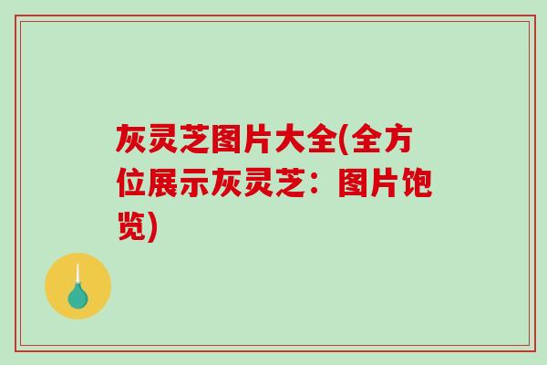灰灵芝图片大全(全方位展示灰灵芝：图片饱览)