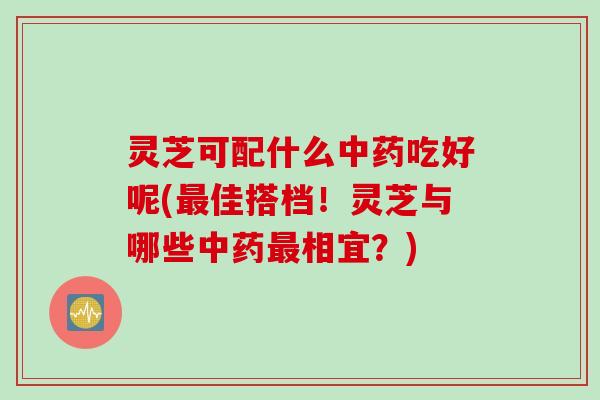 灵芝可配什么中药吃好呢(最佳搭档！灵芝与哪些中药最相宜？)