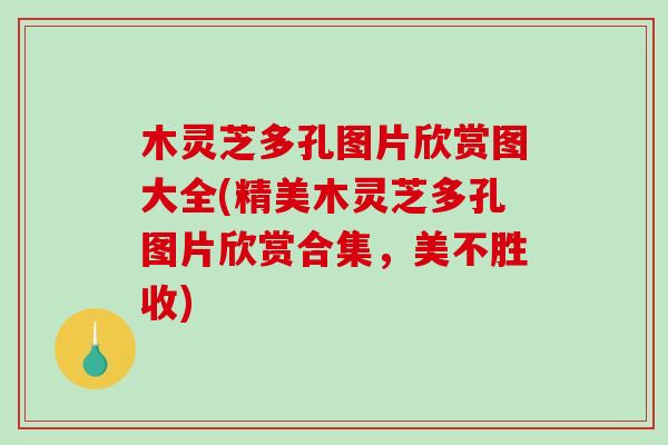 木灵芝多孔图片欣赏图大全(精美木灵芝多孔图片欣赏合集，美不胜收)