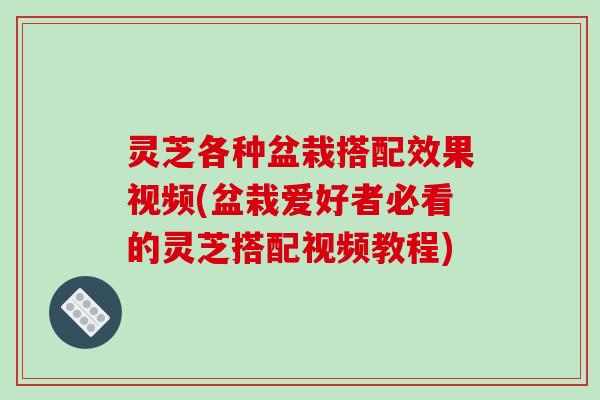 灵芝各种盆栽搭配效果视频(盆栽爱好者必看的灵芝搭配视频教程)