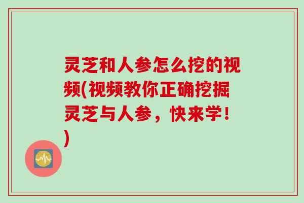 灵芝和人参怎么挖的视频(视频教你正确挖掘灵芝与人参，快来学！)