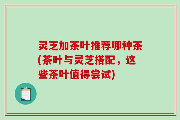 灵芝加茶叶推荐哪种茶(茶叶与灵芝搭配，这些茶叶值得尝试)
