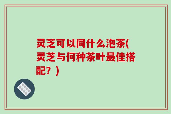 灵芝可以同什么泡茶(灵芝与何种茶叶最佳搭配？)