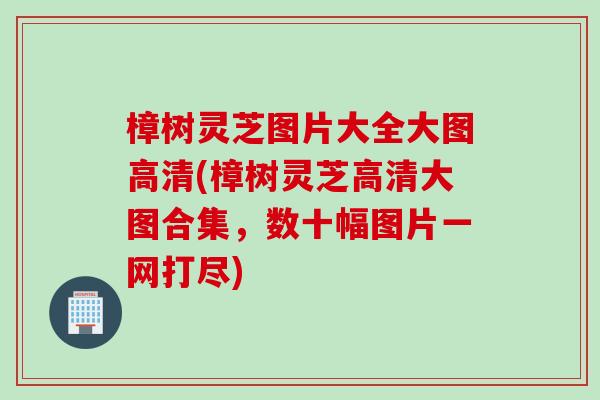 樟树灵芝图片大全大图高清(樟树灵芝高清大图合集，数十幅图片一网打尽)