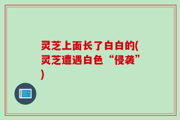 灵芝上面长了白白的(灵芝遭遇白色“侵袭”)
