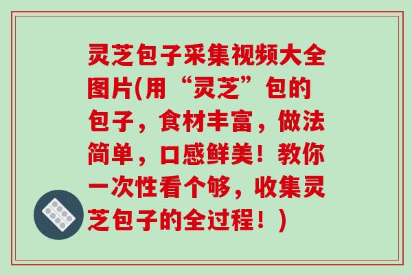 灵芝包子采集视频大全图片(用“灵芝”包的包子，食材丰富，做法简单，口感鲜美！教你一次性看个够，收集灵芝包子的全过程！)