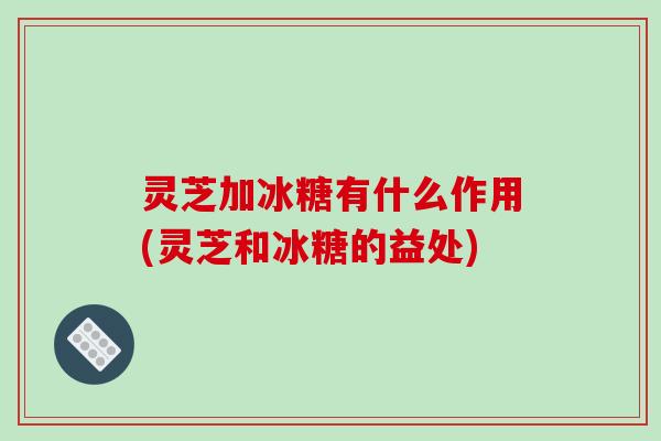 灵芝加冰糖有什么作用(灵芝和冰糖的益处)