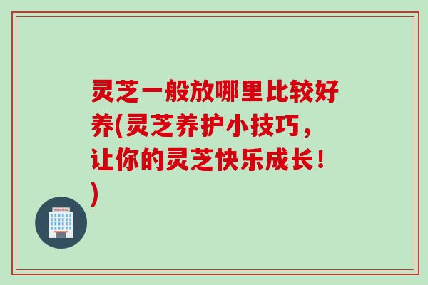 灵芝一般放哪里比较好养(灵芝养护小技巧，让你的灵芝快乐成长！)