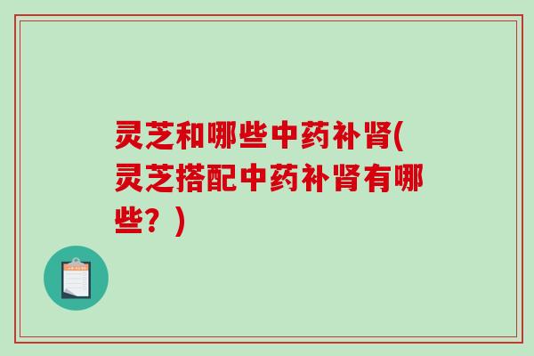 灵芝和哪些中药补肾(灵芝搭配中药补肾有哪些？)