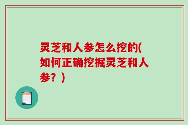 灵芝和人参怎么挖的(如何正确挖掘灵芝和人参？)
