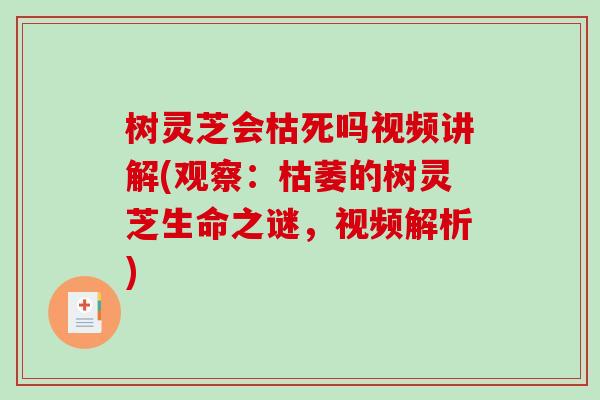 树灵芝会枯死吗视频讲解(观察：枯萎的树灵芝生命之谜，视频解析)