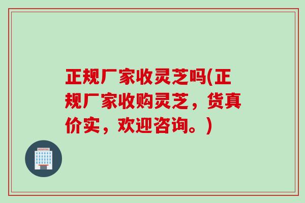 正规厂家收灵芝吗(正规厂家收购灵芝，货真价实，欢迎咨询。)