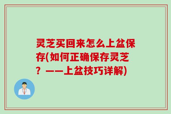 灵芝买回来怎么上盆保存(如何正确保存灵芝？——上盆技巧详解)