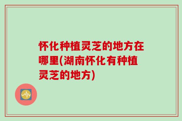 怀化种植灵芝的地方在哪里(湖南怀化有种植灵芝的地方)