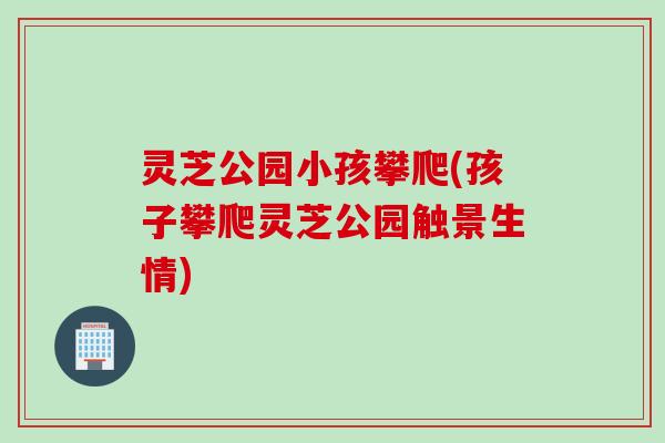 灵芝公园小孩攀爬(孩子攀爬灵芝公园触景生情)
