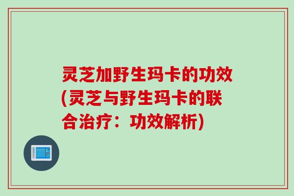 灵芝加野生玛卡的功效(灵芝与野生玛卡的联合治疗：功效解析)