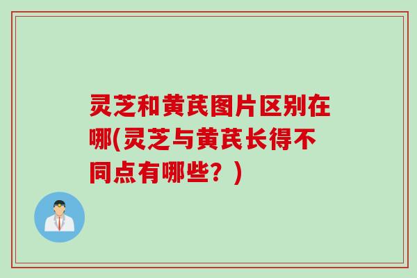 灵芝和黄芪图片区别在哪(灵芝与黄芪长得不同点有哪些？)