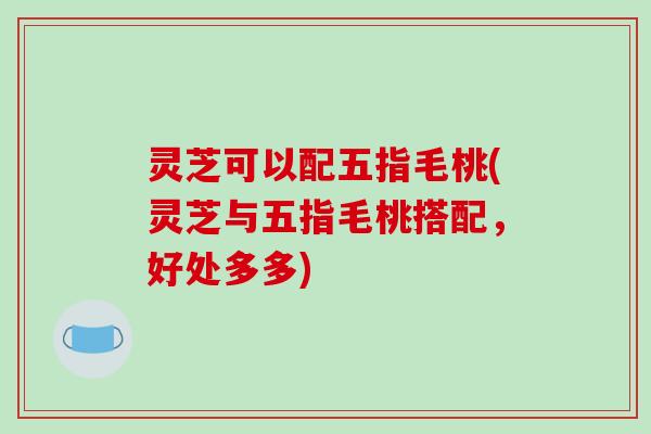 灵芝可以配五指毛桃(灵芝与五指毛桃搭配，好处多多)