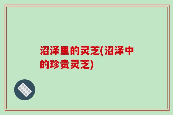 沼泽里的灵芝(沼泽中的珍贵灵芝)