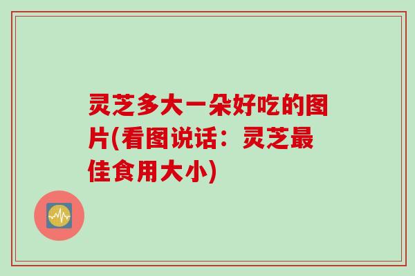 灵芝多大一朵好吃的图片(看图说话：灵芝最佳食用大小)