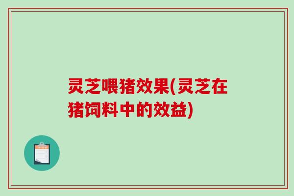 灵芝喂猪效果(灵芝在猪饲料中的效益)