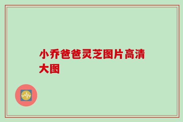 小乔爸爸灵芝图片高清大图