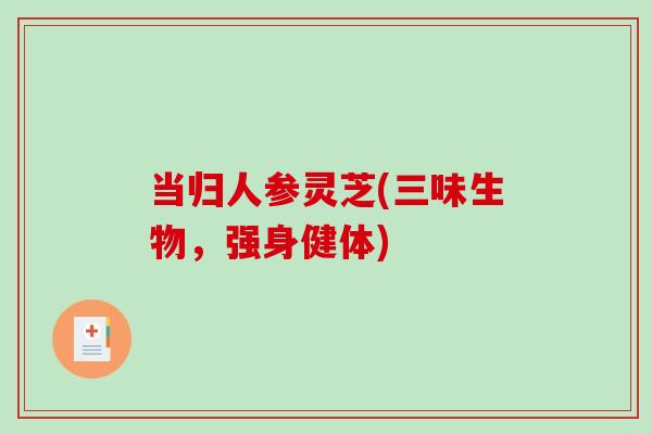 当归人参灵芝(三味生物，强身健体)