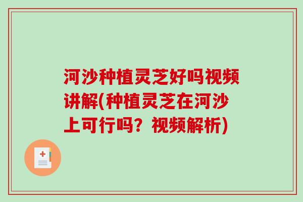 河沙种植灵芝好吗视频讲解(种植灵芝在河沙上可行吗？视频解析)