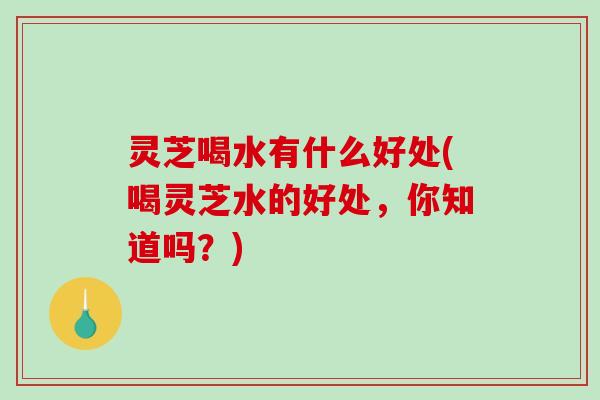 灵芝喝水有什么好处(喝灵芝水的好处，你知道吗？)