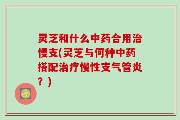 灵芝和什么中药合用治慢支(灵芝与何种中药搭配治疗慢性支气管炎？)