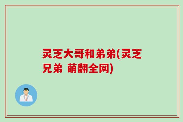 灵芝大哥和弟弟(灵芝兄弟 萌翻全网)