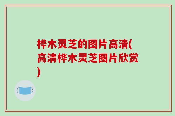 桦木灵芝的图片高清(高清桦木灵芝图片欣赏)