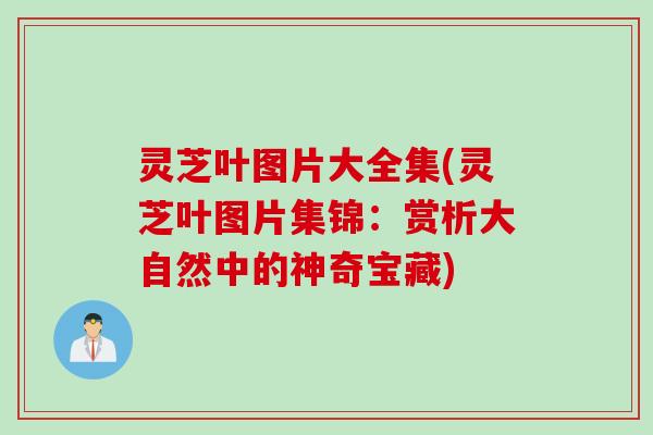 灵芝叶图片大全集(灵芝叶图片集锦：赏析大自然中的神奇宝藏)