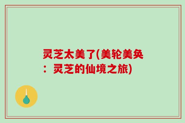 灵芝太美了(美轮美奂：灵芝的仙境之旅)