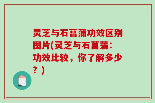 灵芝与石菖蒲功效区别图片(灵芝与石菖蒲:功效比较,你了解多少?) 灵芝与石菖蒲功效区别图片(灵芝与石菖蒲:功效比较,你了解多少?)