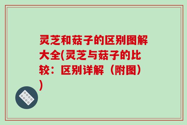 灵芝和菇子的区别图解大全(灵芝与菇子的比较：区别详解（附图）)