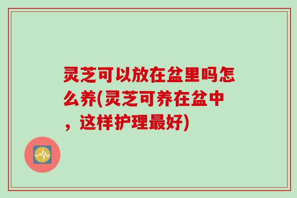 灵芝可以放在盆里吗怎么养(灵芝可养在盆中，这样护理最好)